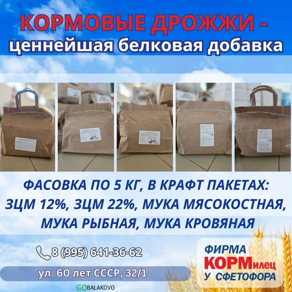 2.jpg 2.jpg